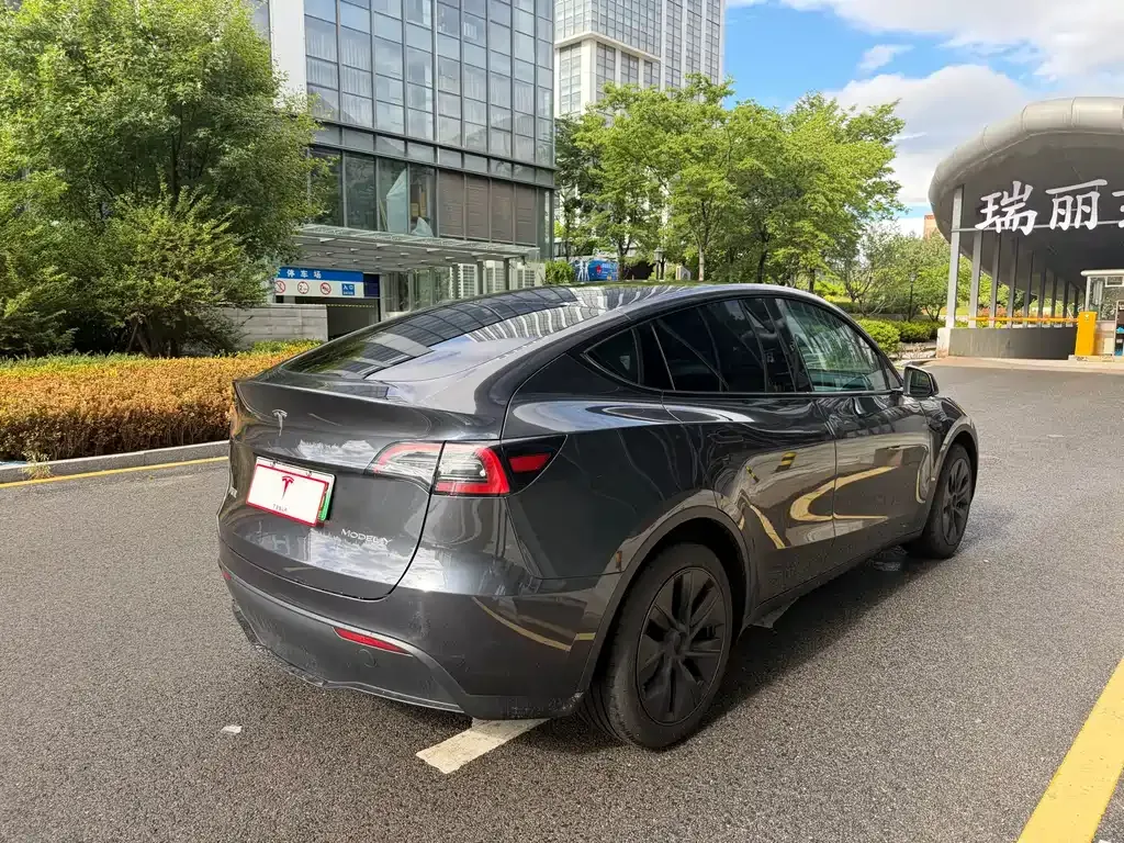 Tesla Model Y — фото 9