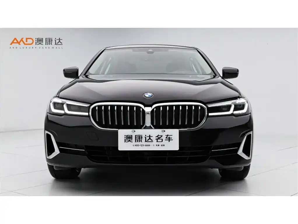 BMW 5 Series 2022 из CN, фото 5