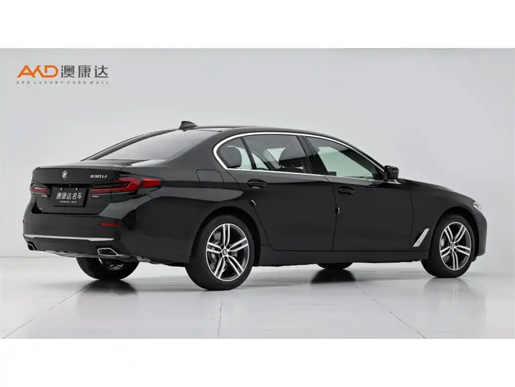 BMW 5 Series 2022 из CN, фото 2