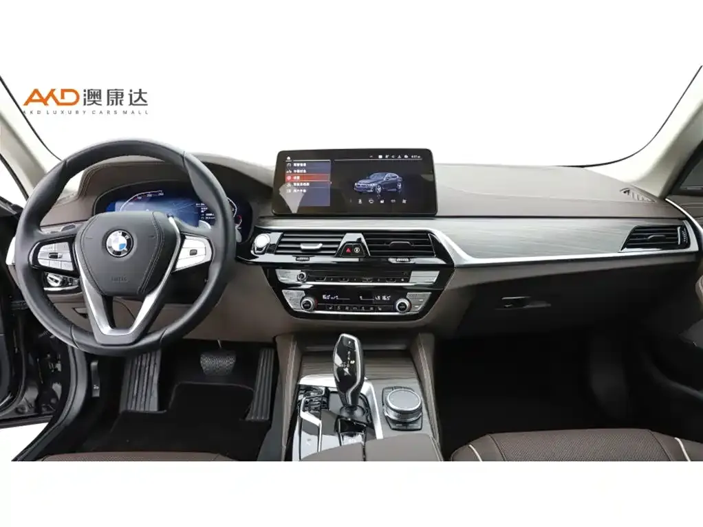 BMW 5 Series 2022 из CN, фото 6