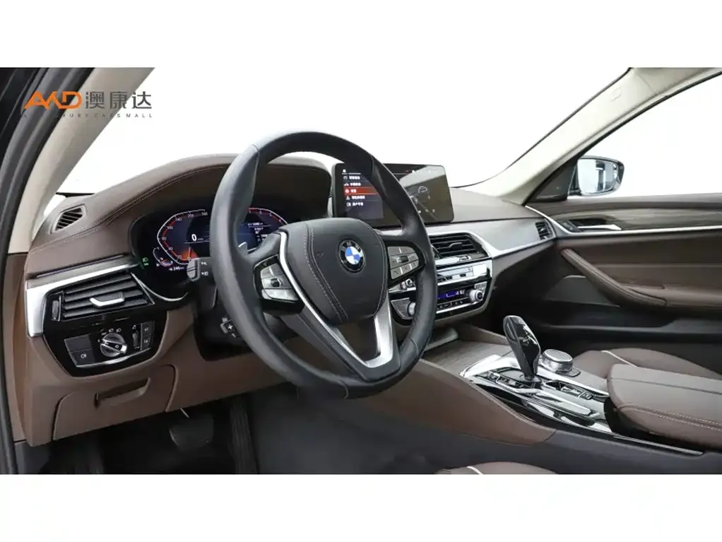 BMW 5 Series 2022 из CN, фото 7