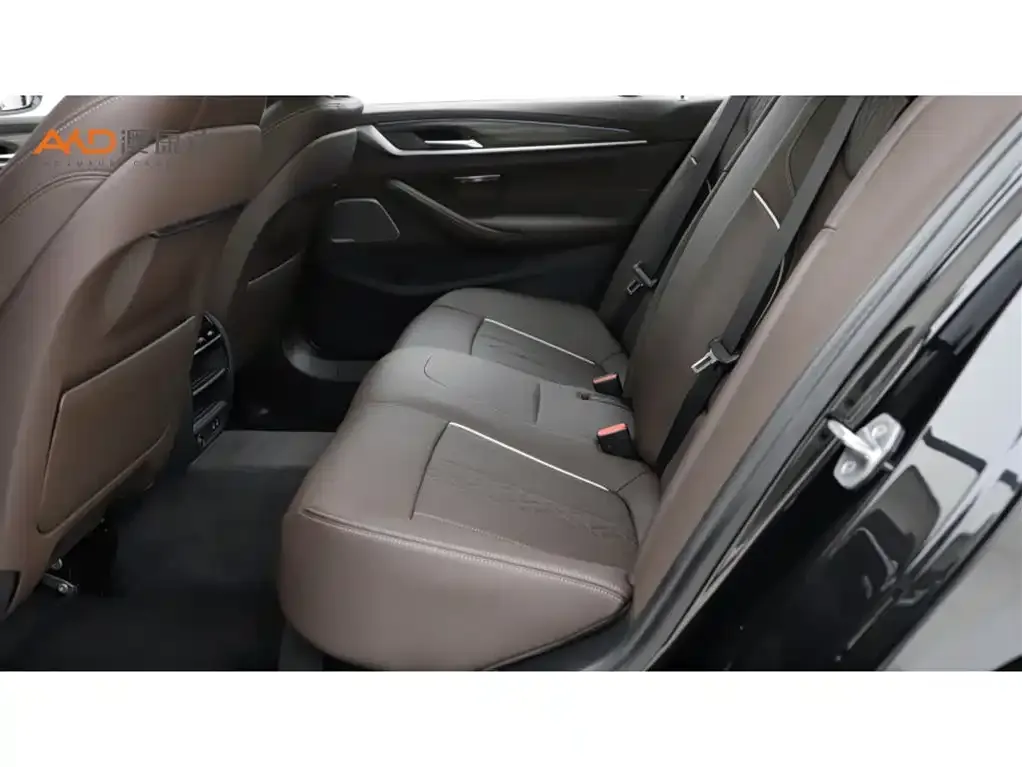 BMW 5 Series 2022 из CN, фото 4