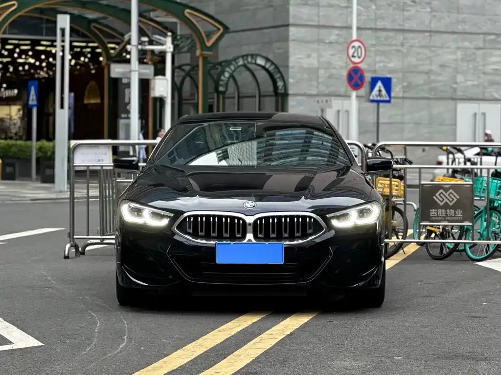 BMW 8 Series — фото 3