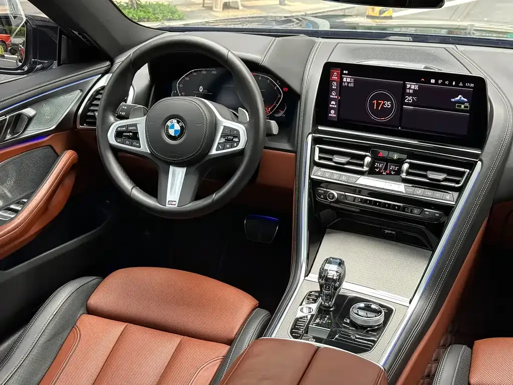 BMW 8 Series — фото 10