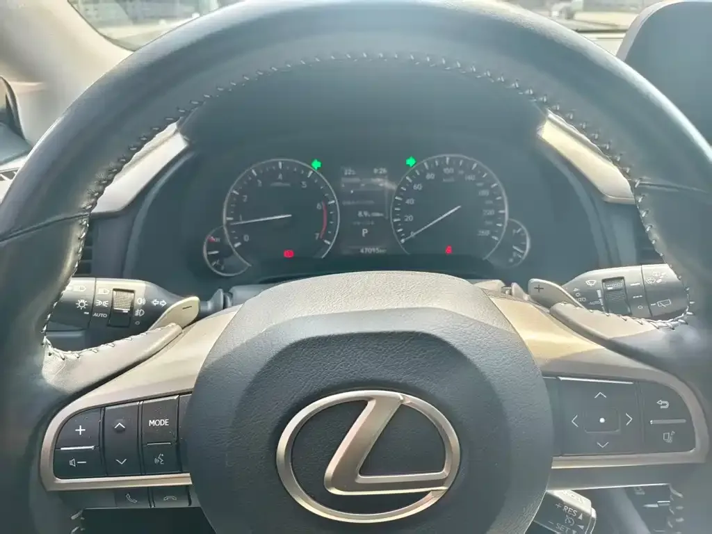 Lexus RX 2021 из CN, фото 4