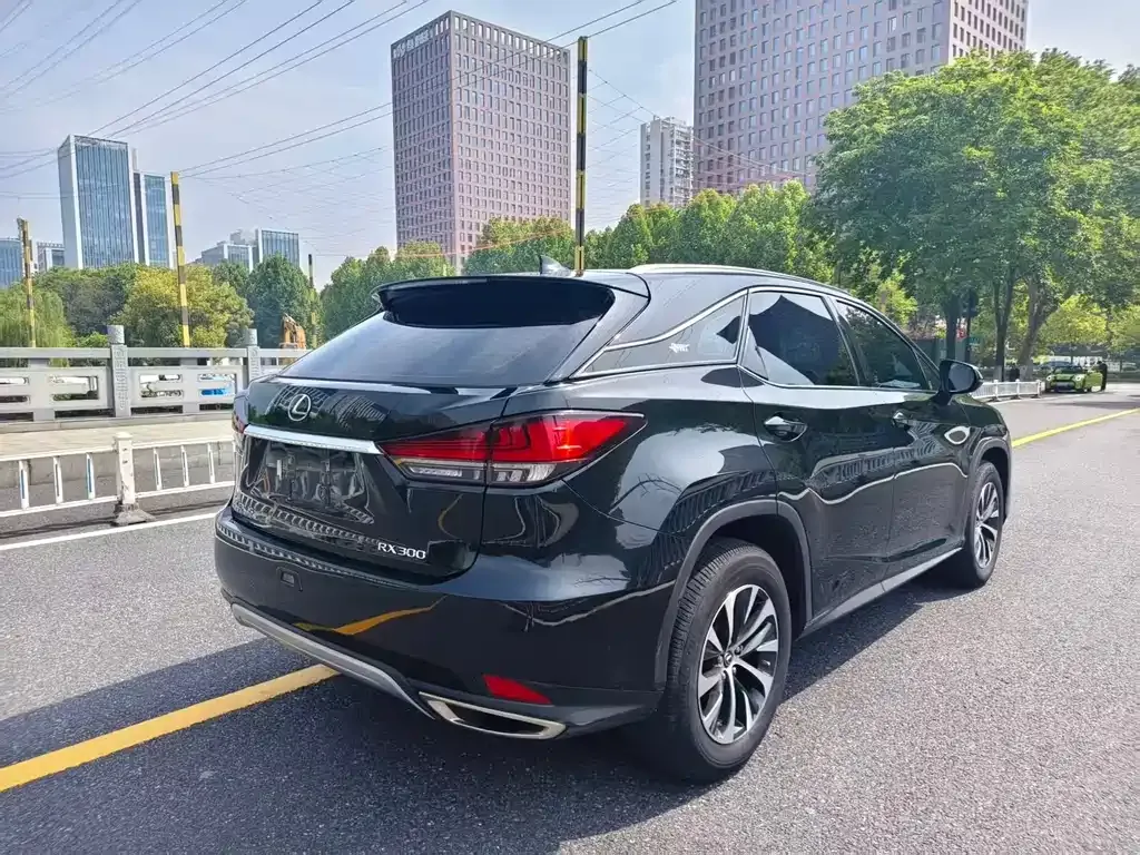 Lexus RX 2021 из CN, фото 8