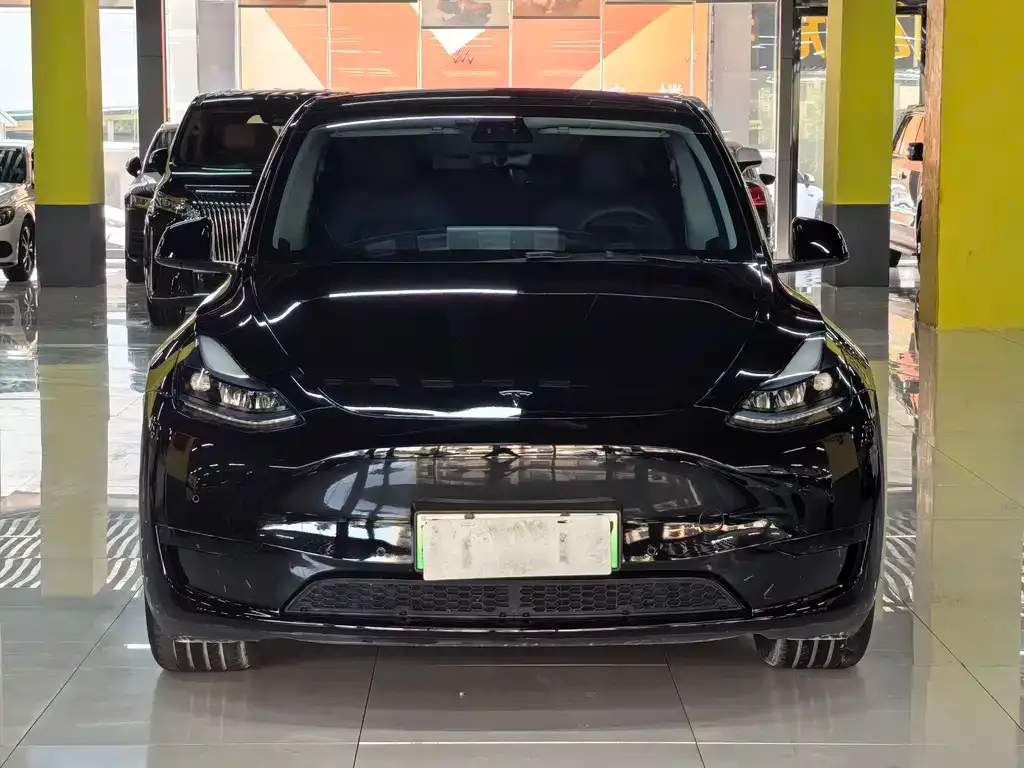 Tesla Model Y — фото 3