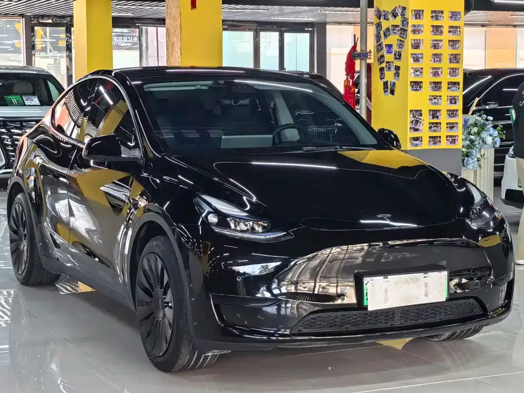 Tesla Model Y — фото 10