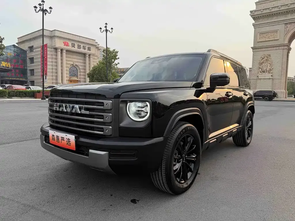 Haval Menglong New Energy — фото 1