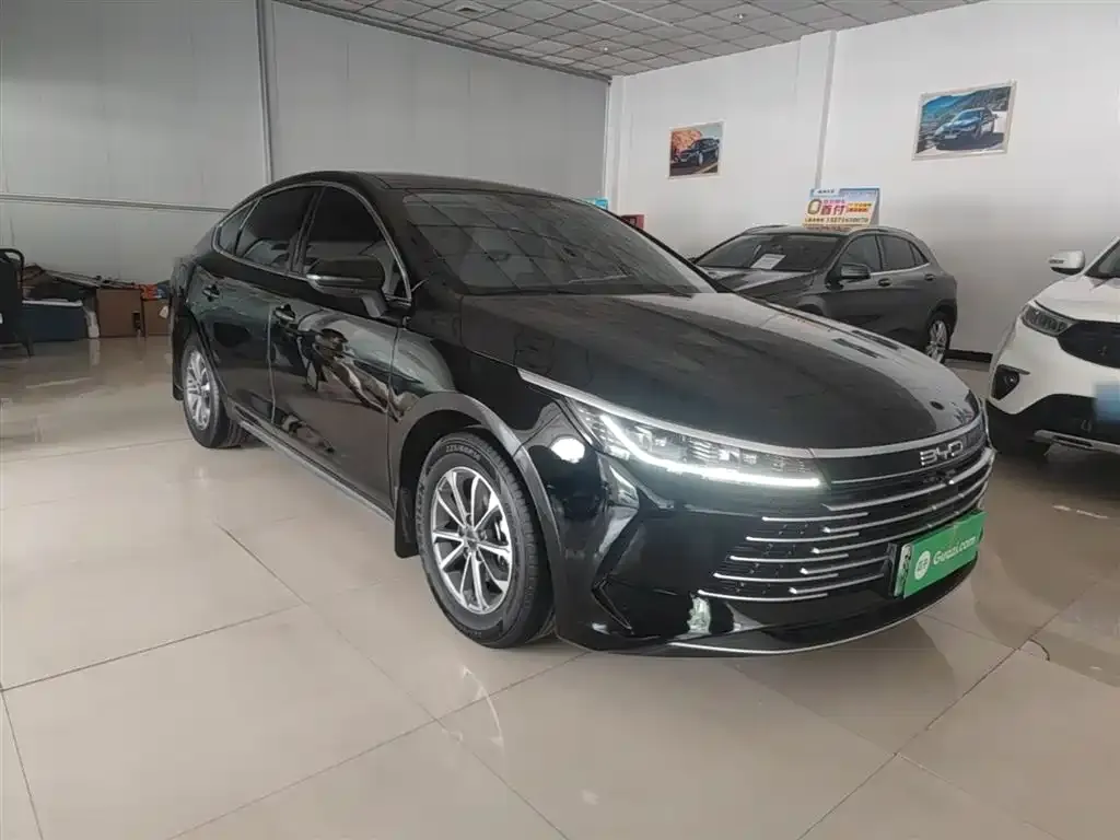 BYD Destroyer 05 2025 из CN, фото 6