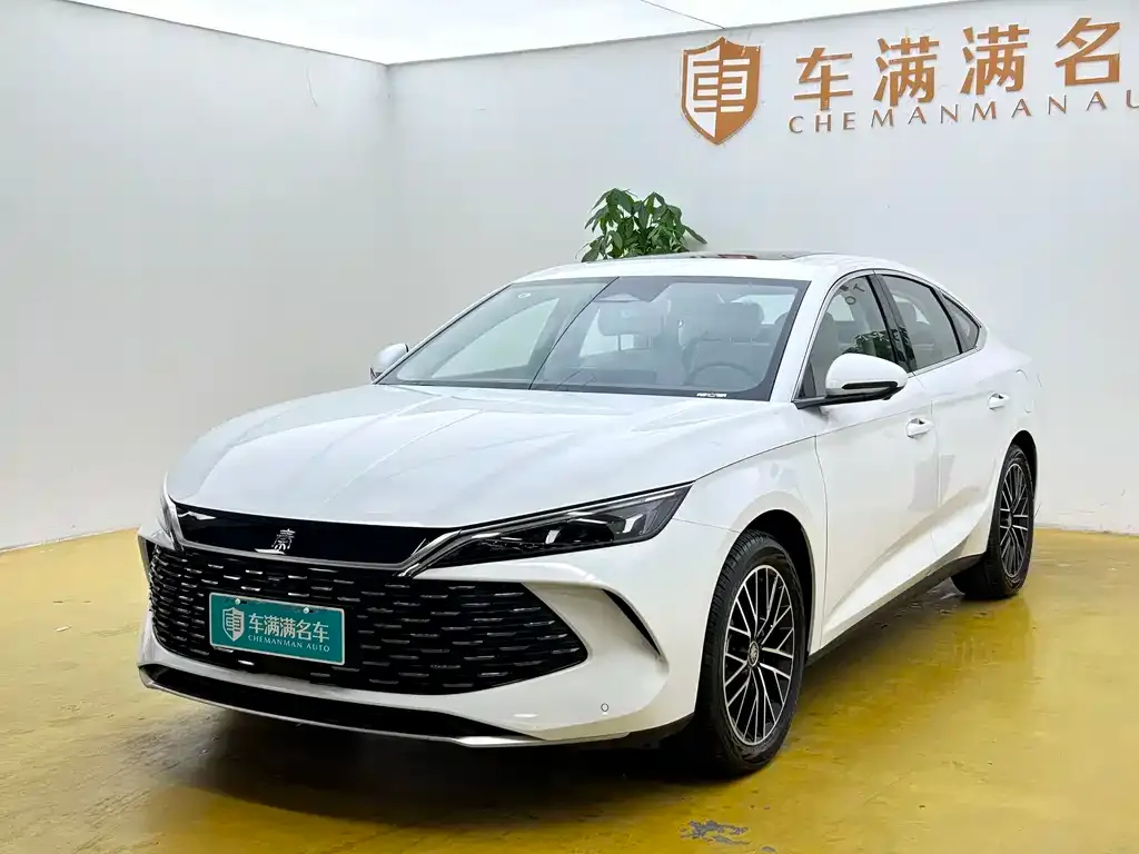 BYD Qin PLUS — фото 1