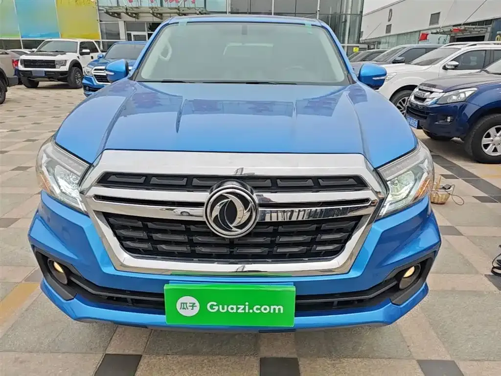 Dongfeng Rich 6 2023 из CN, фото 10