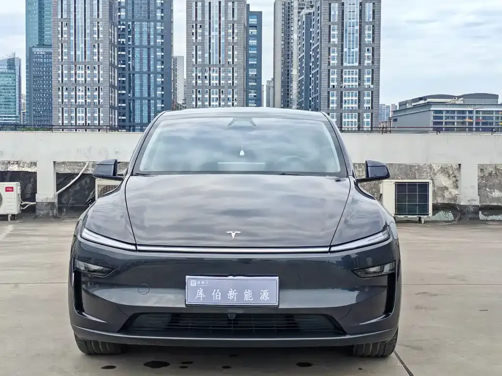 Tesla Model Y — фото 10