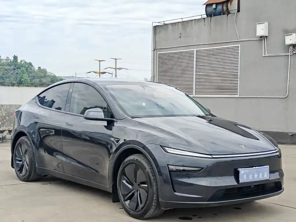 Tesla Model Y — фото 5