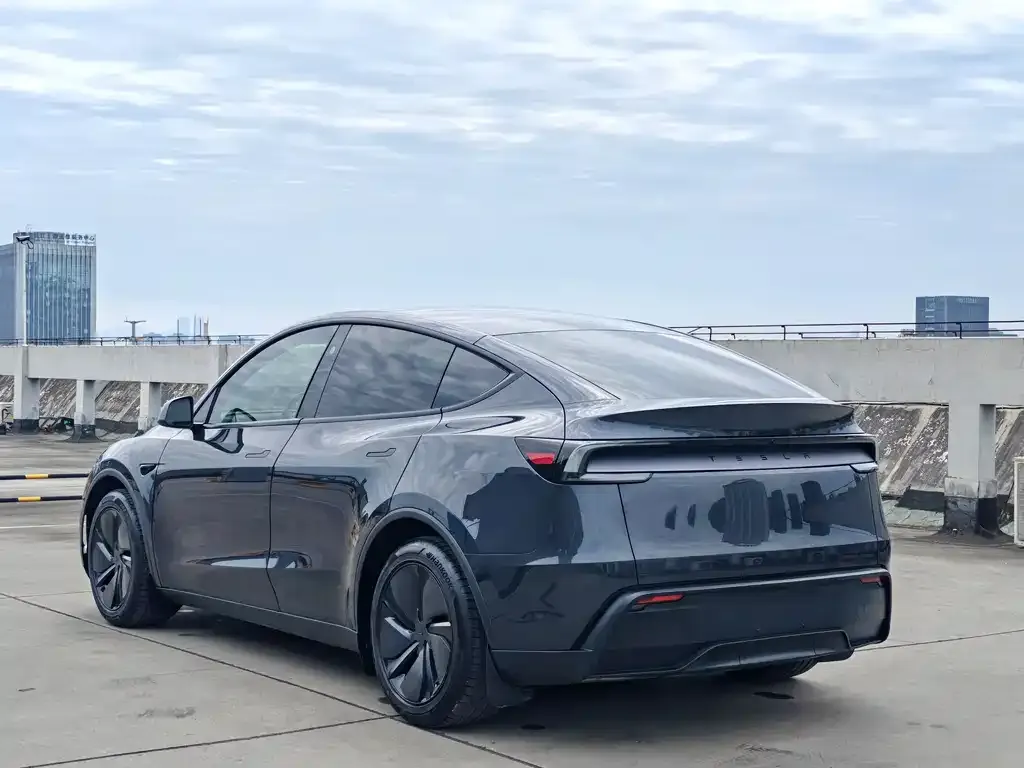 Tesla Model Y — фото 4