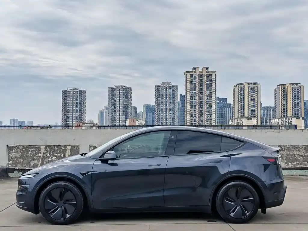 Tesla Model Y — фото 2