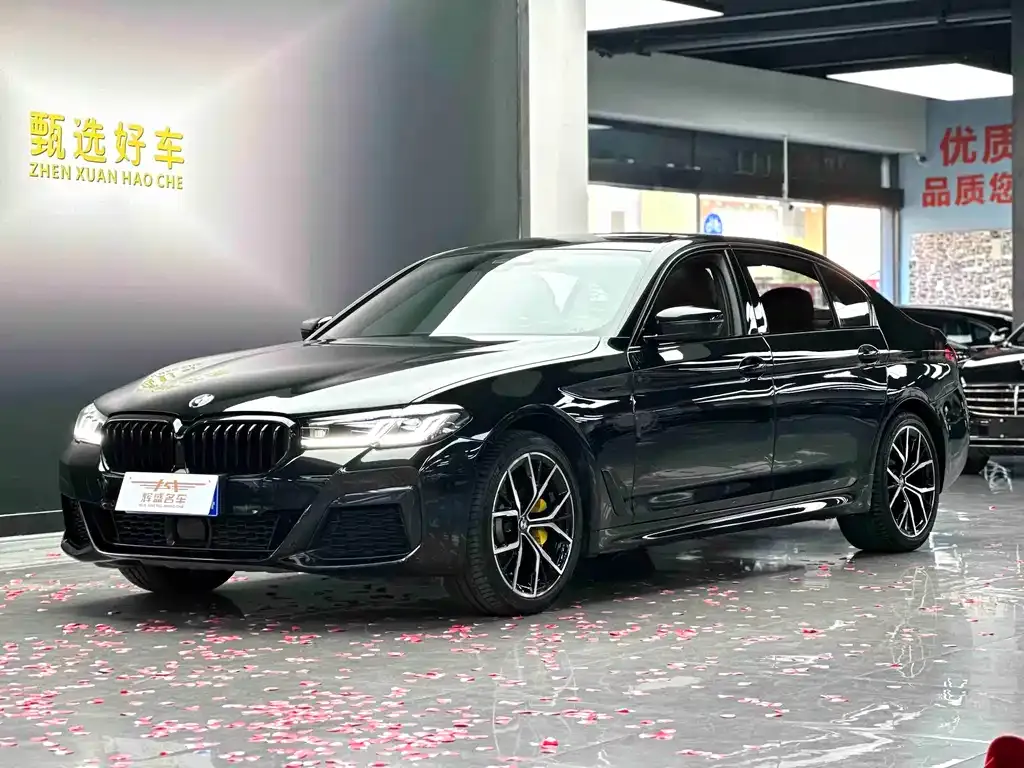 BMW 5 Series 2021 из CN, фото 1