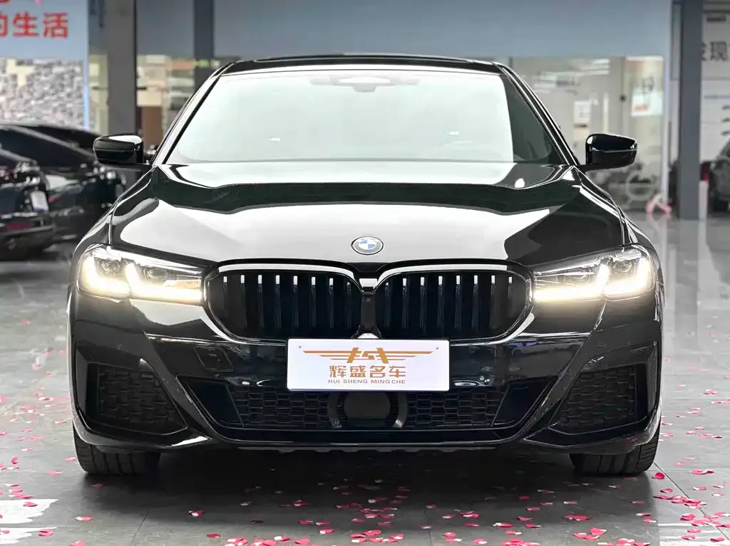 BMW 5 Series 2021 из CN, фото 4