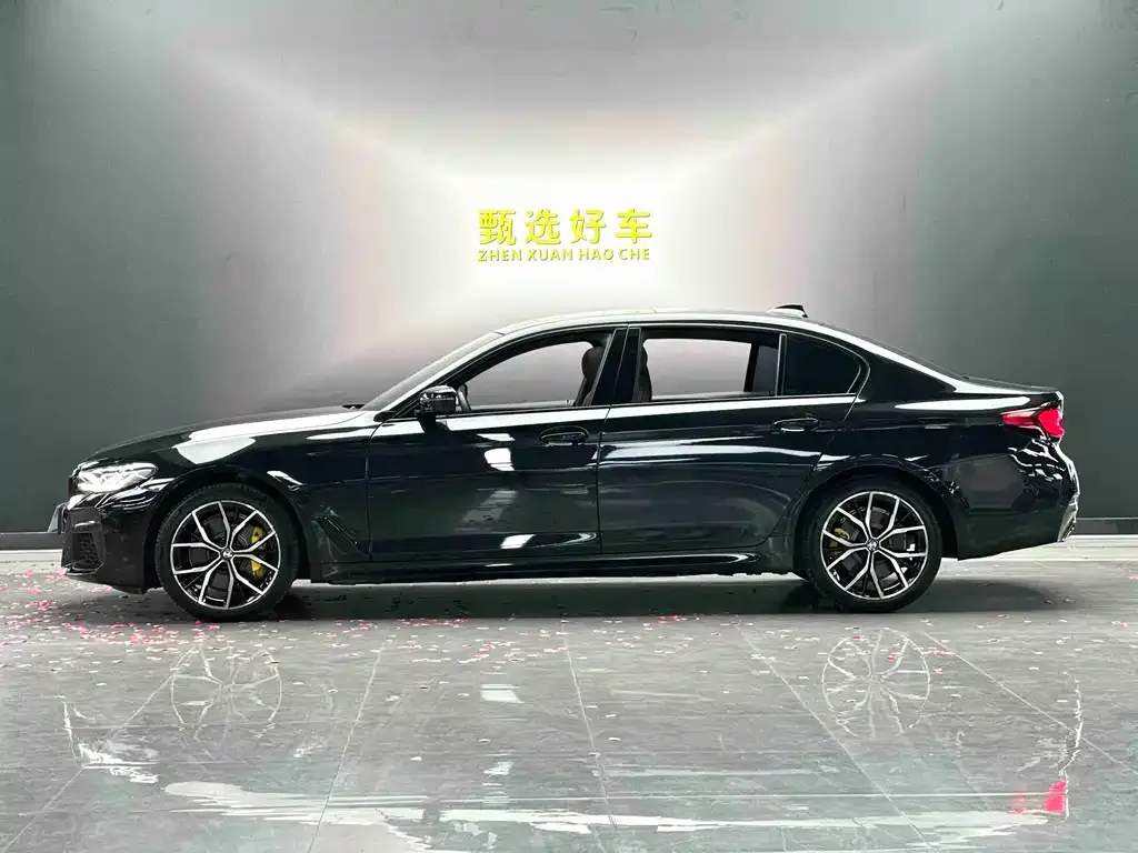 BMW 5 Series 2021 из CN, фото 8