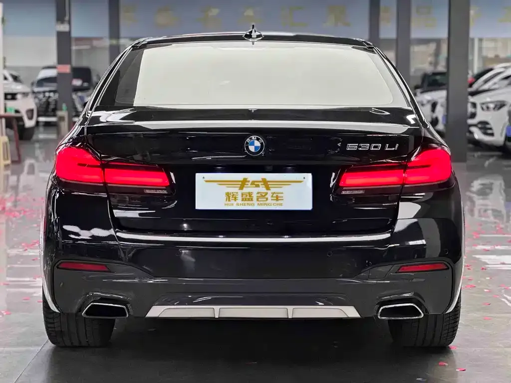 BMW 5 Series 2021 из CN, фото 7