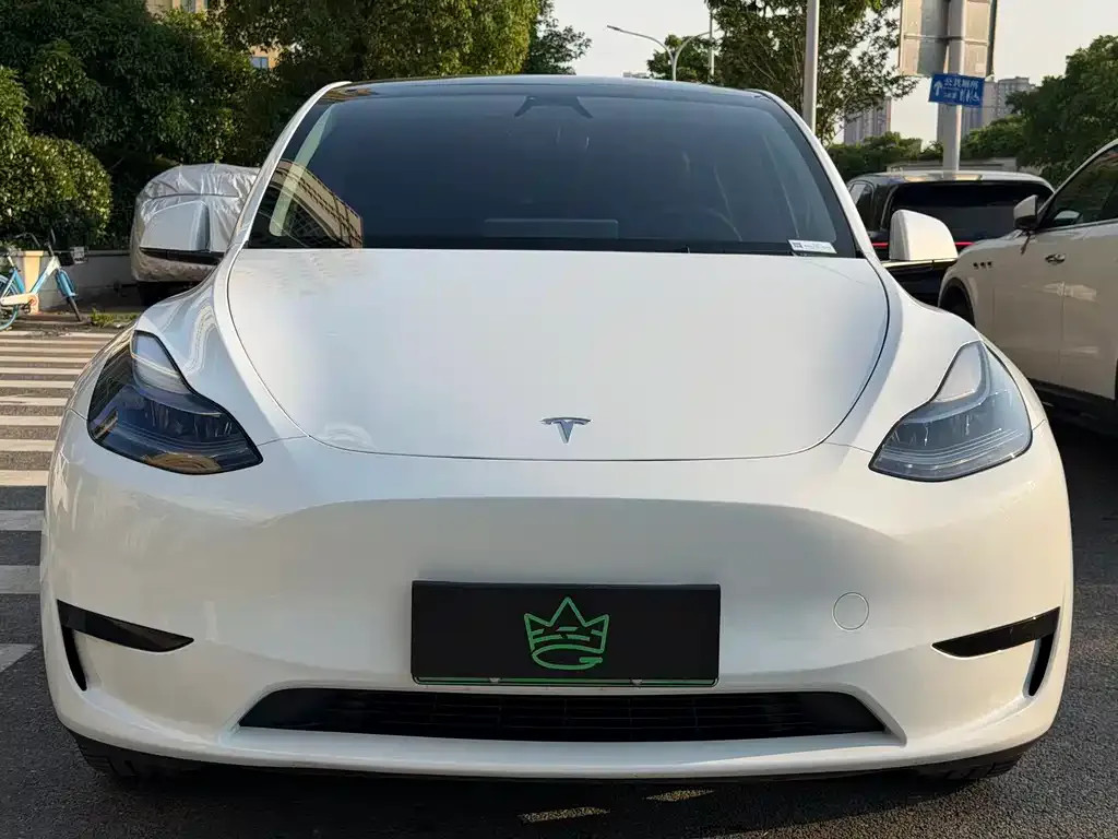 Tesla Model Y — фото 1