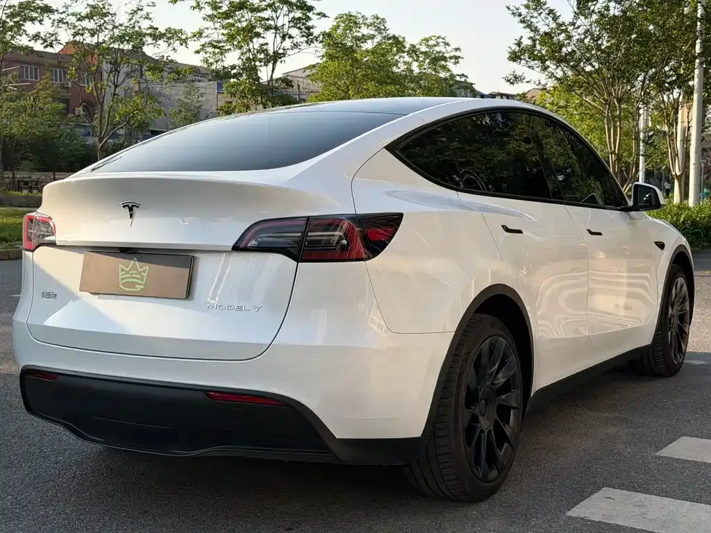 Tesla Model Y — фото 9