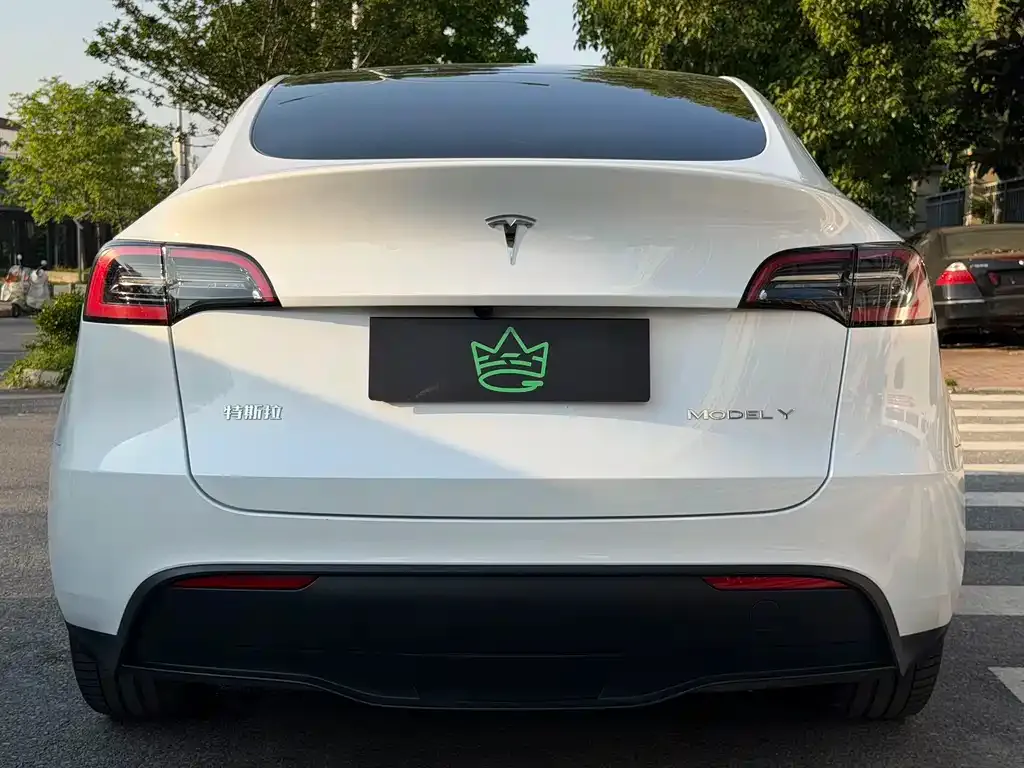Tesla Model Y — фото 5