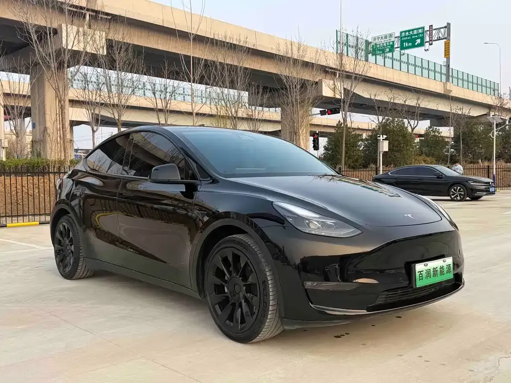 Tesla Model Y — фото 3