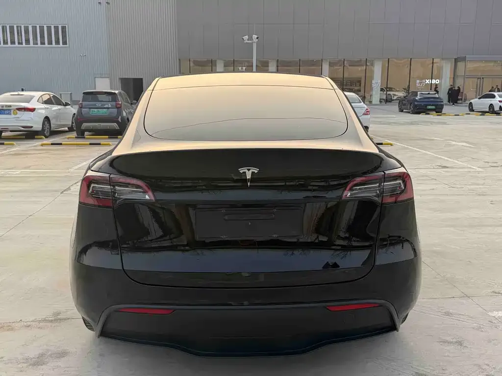 Tesla Model Y — фото 8