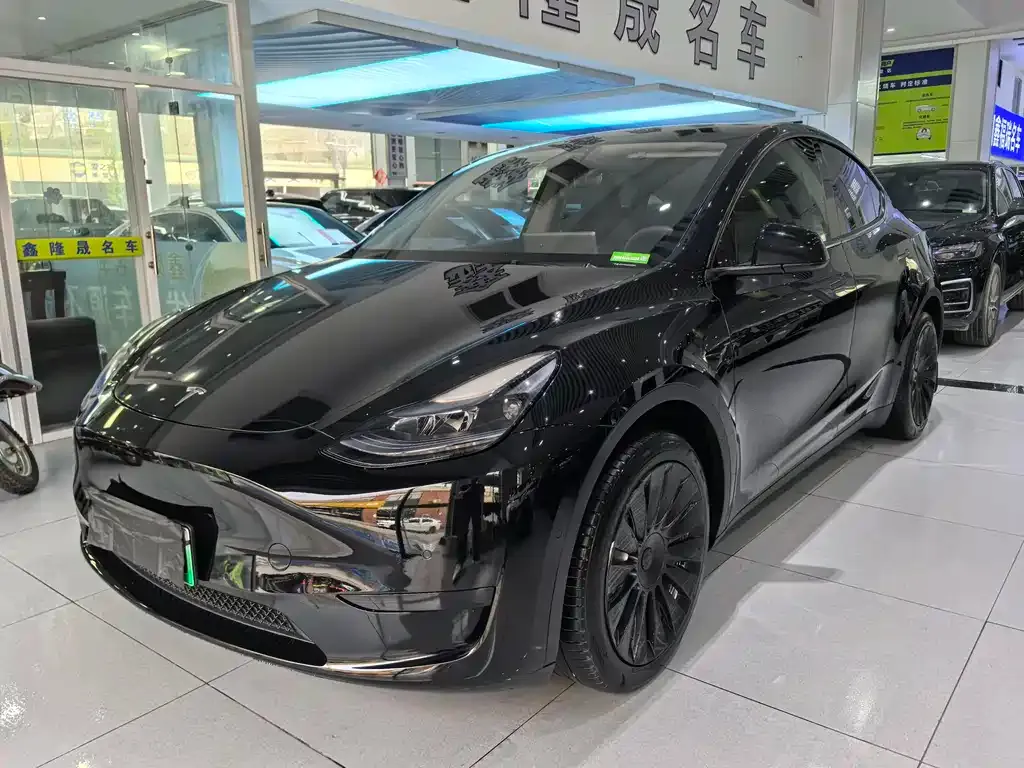 Tesla Model Y — фото 1
