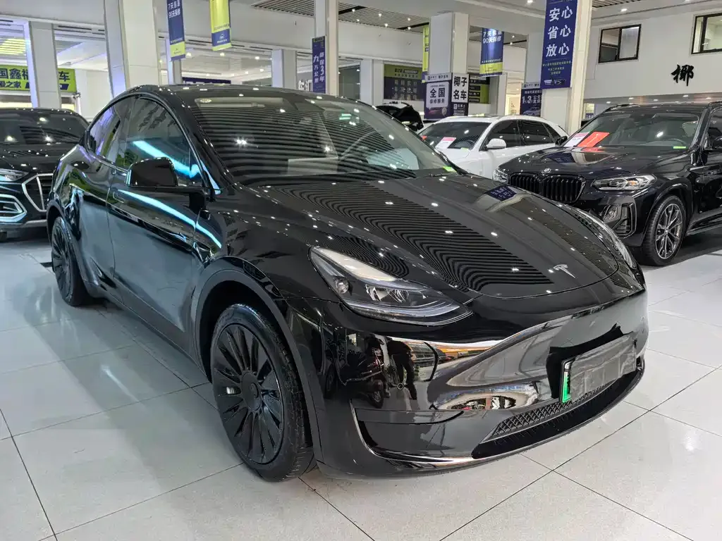 Tesla Model Y — фото 10