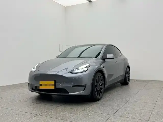 Tesla Model Y — фото 1