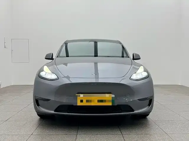 Tesla Model Y — фото 2