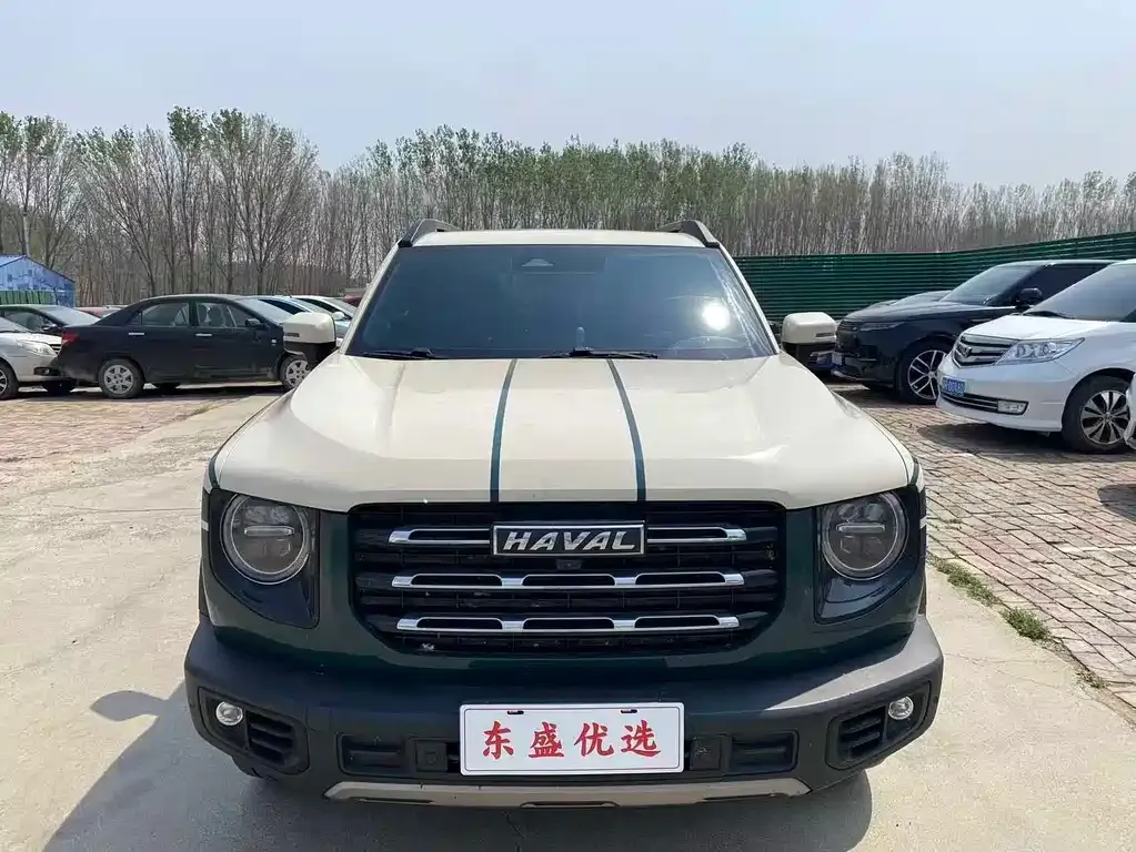 Haval Big Dog 2022 из CN, фото 3
