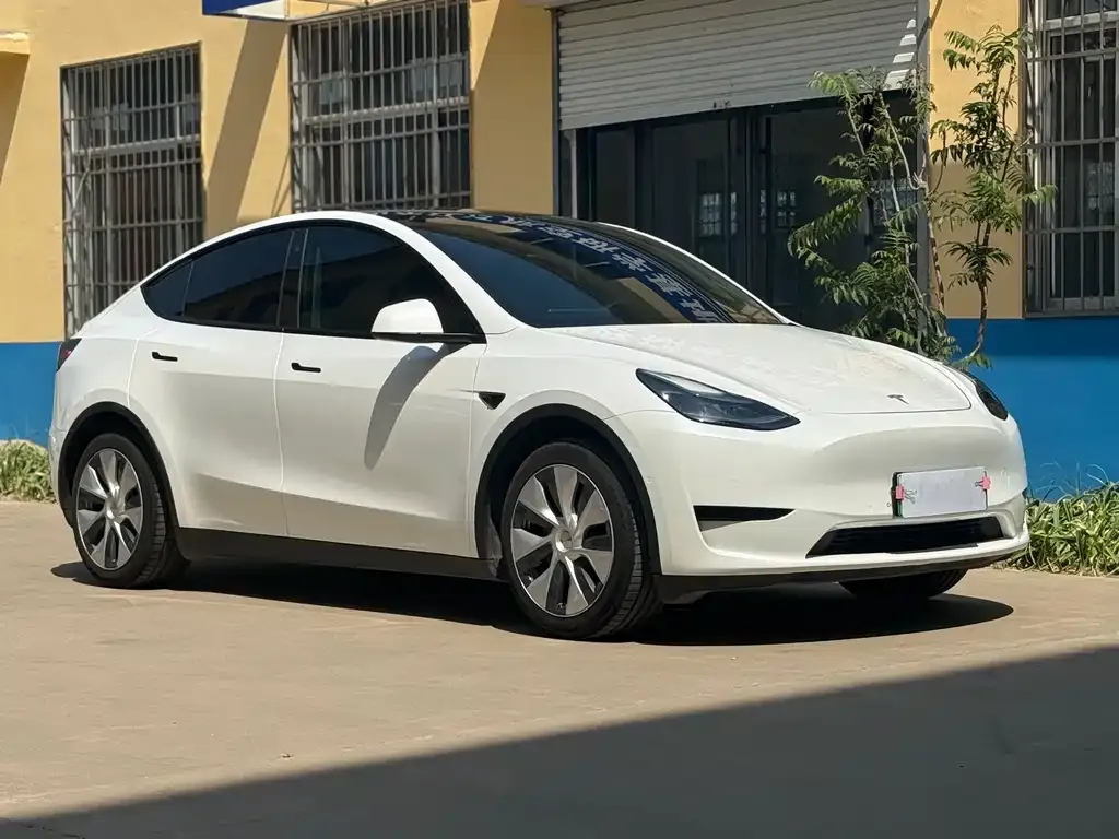 Tesla Model Y — фото 1