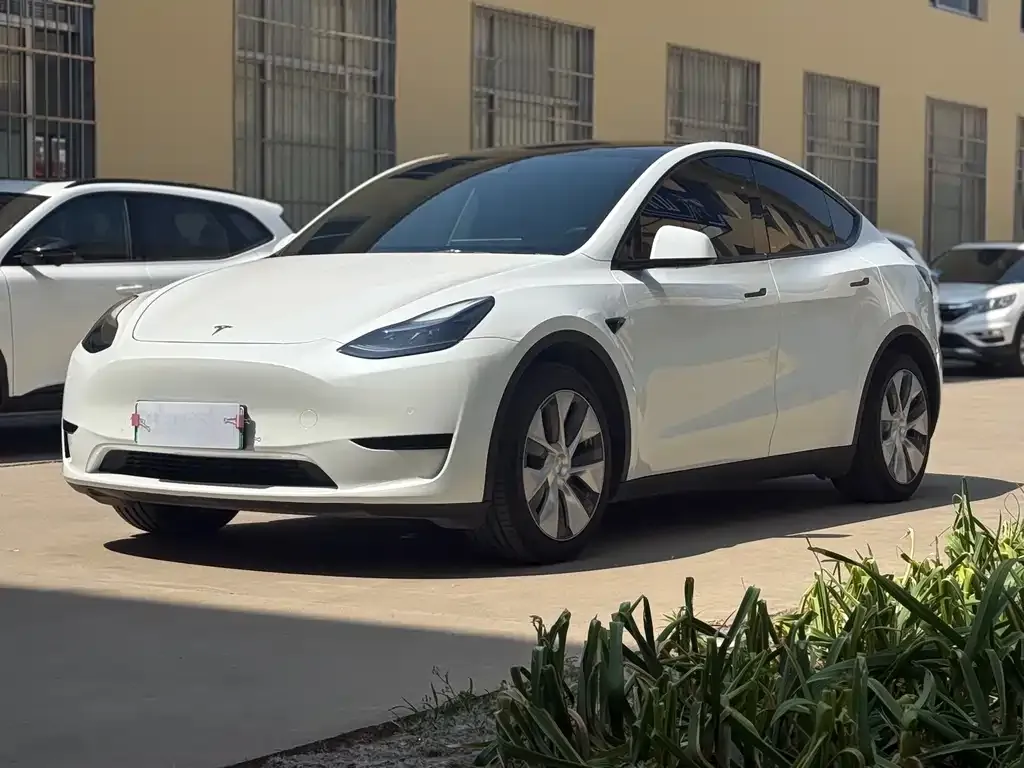 Tesla Model Y — фото 6
