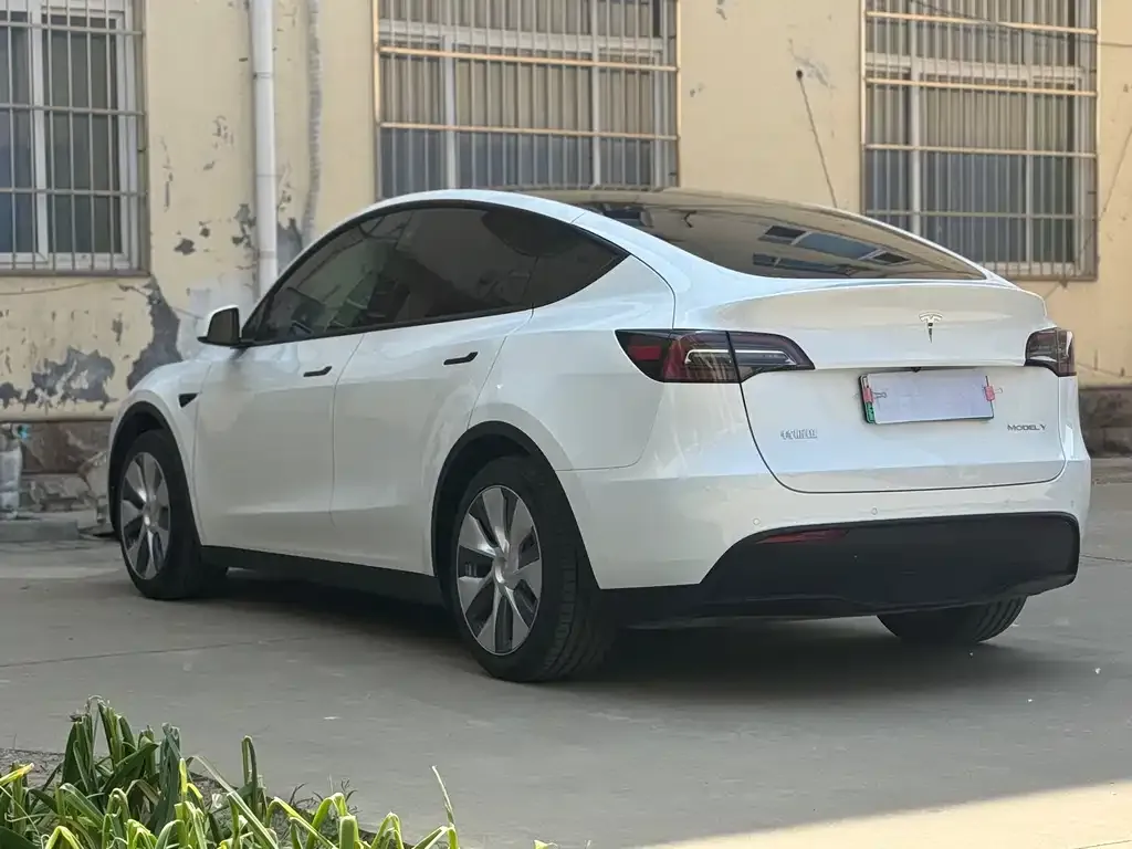 Tesla Model Y — фото 5