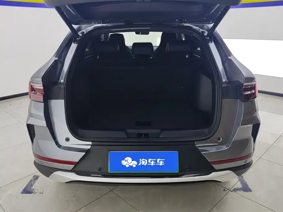 BYD PLUS New Energy — фото 3