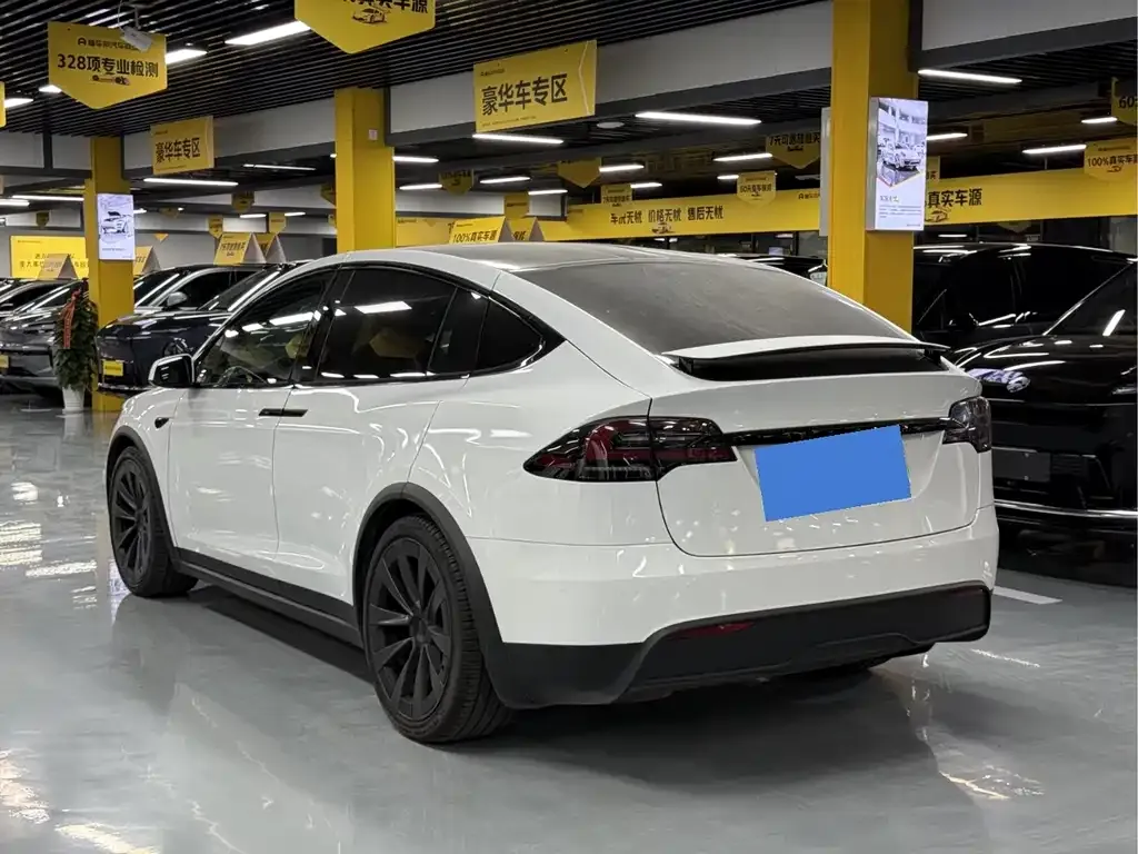 Tesla Model X 2023 из CN, фото 8