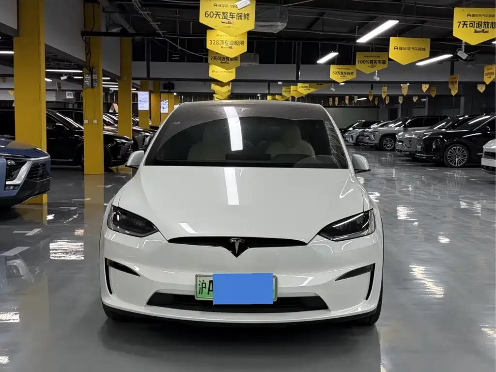 Tesla Model X 2023 из CN, фото 9