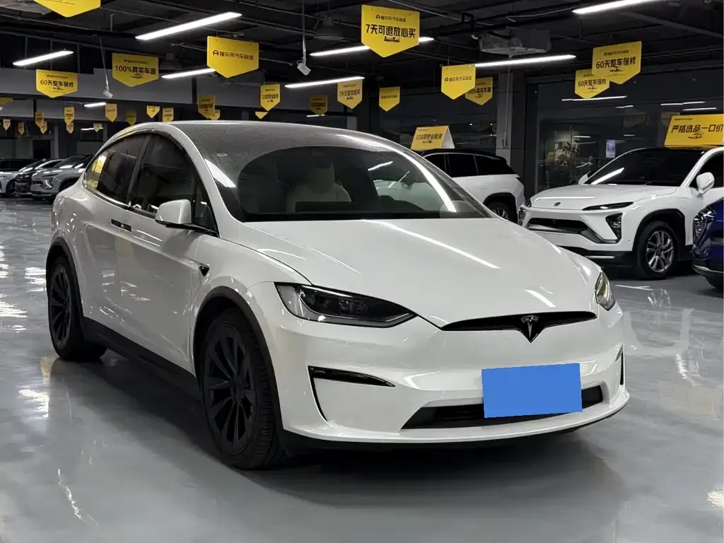 Tesla Model X 2023 из CN, фото 4