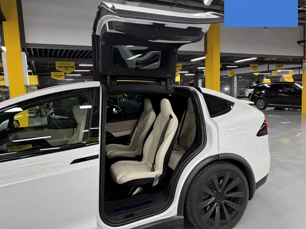 Tesla Model X 2023 из CN, фото 5
