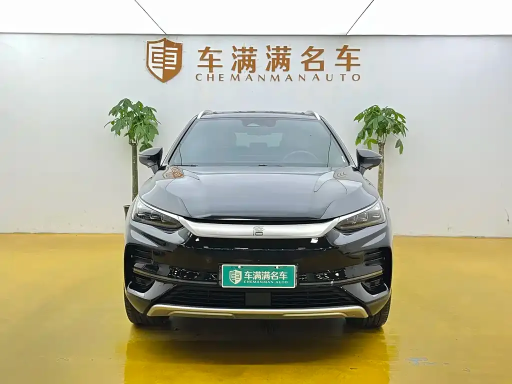BYD Tang New Energy — фото 2