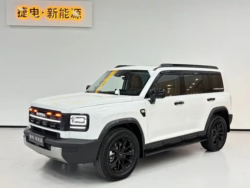 Haval Menglong New Energy — фото 1