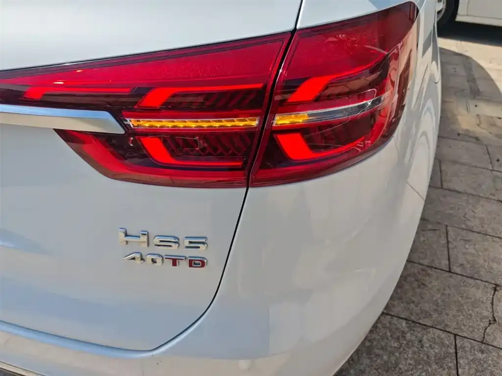 Hongqi HS5 2021 из CN, фото 2