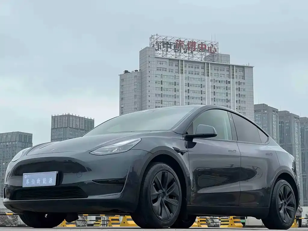 Tesla Model Y — фото 1