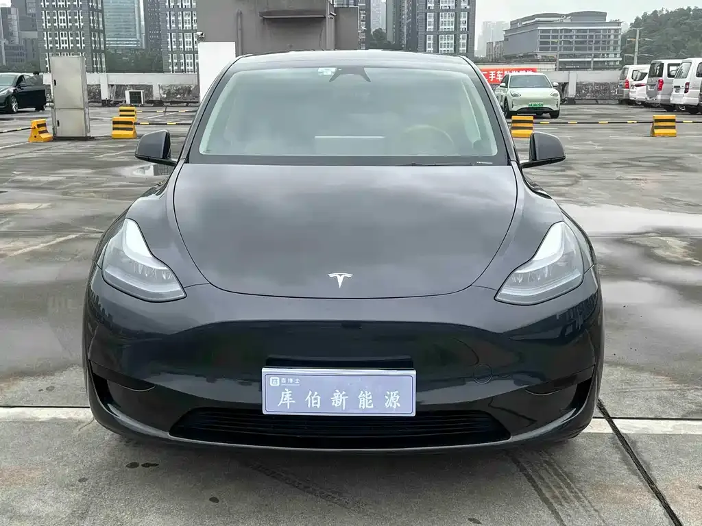 Tesla Model Y — фото 3