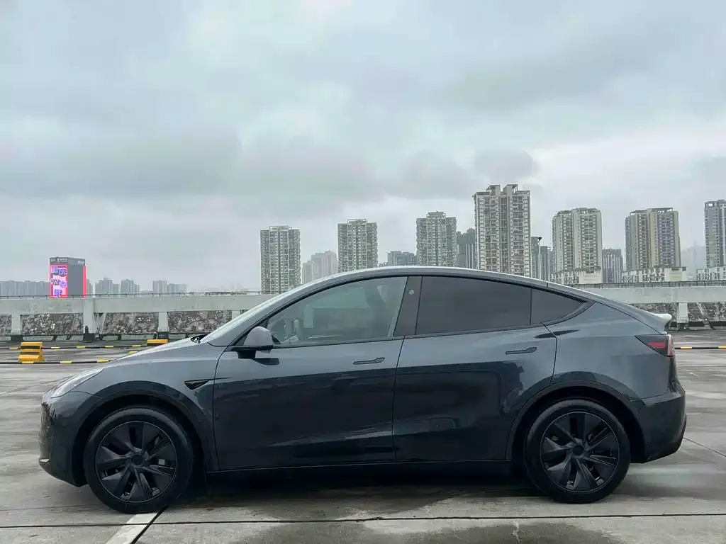 Tesla Model Y — фото 4