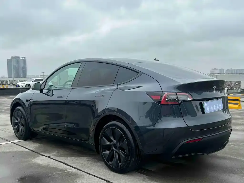 Tesla Model Y — фото 7