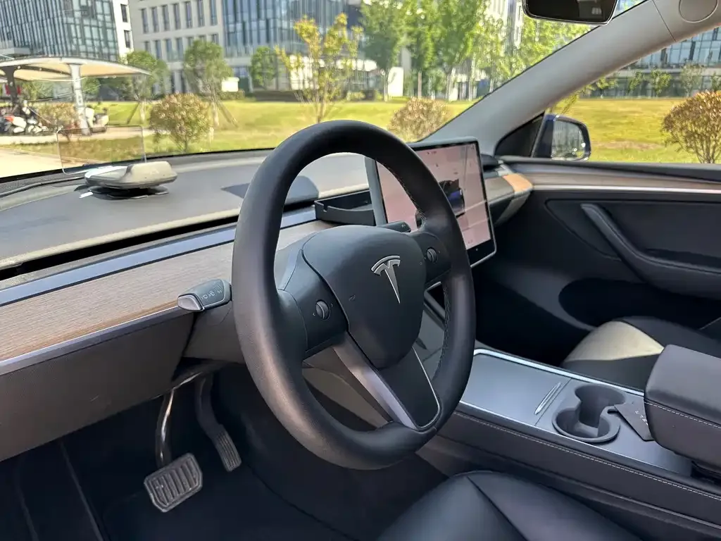 Tesla Model Y — фото 6